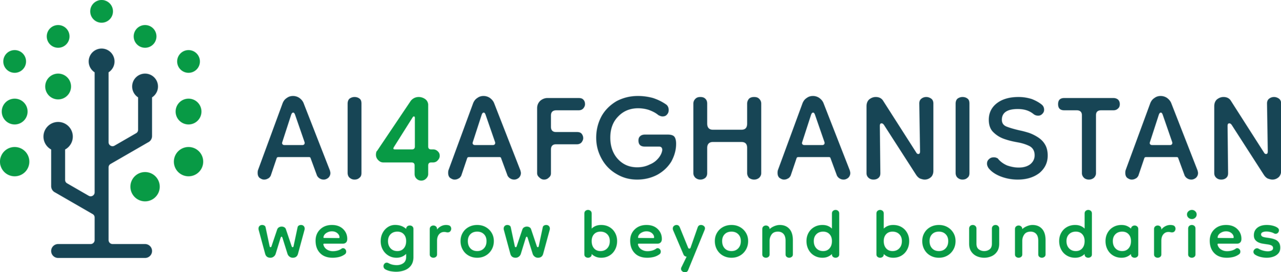 AI for Afghanistan (AI4Afghanistan) e.V.